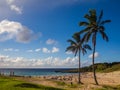 Palms at Anakena beach in Easter Island in Chile Royalty Free Stock Photo