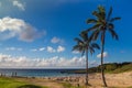 Palms at Anakena beach in Easter Island in Chile. The only tourist beach in the island Royalty Free Stock Photo