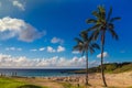 Palms at Anakena beach in Easter Island in Chile. The only tourist beach in the island Royalty Free Stock Photo