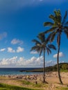 Palms at Anakena beach in Easter Island in Chile. The only tourist beach in the island Royalty Free Stock Photo