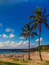 Palms at Anakena beach in Easter Island in Chile. The only tourist beach in the island Royalty Free Stock Photo