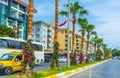 The palms in Ataturk boulevard of Alanya Royalty Free Stock Photo