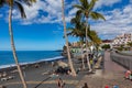 Palms  at beach with black lava sand at Puerto Naos in La Palma Island, Canary Island, Spain Royalty Free Stock Photo