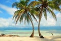 Palms on the beach in the Caribbean sea