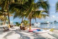 Palms and beach at Caye Caulker island, Beli Royalty Free Stock Photo