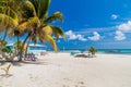 Palms and beach at Caye Caulker island, Beli Royalty Free Stock Photo
