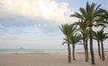 Palms and Beach Costa Blanca in Benidorm Spain Royalty Free Stock Photo