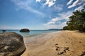 Palms on the beach Ko Samui island, Thailand Royalty Free Stock Photo