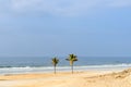 Palms on beach near al-Mughsayl (Oman)