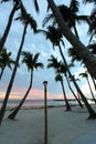 Palms on beach at sunset Royalty Free Stock Photo