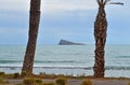 Palms And Benidorm Island