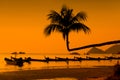 Palms and boats , Koh Tao Island - Thailand Royalty Free Stock Photo