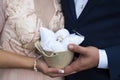 Palms of the bride and groom, hold wedding rings Royalty Free Stock Photo