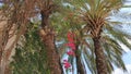 Palms and bougainvillea in family resort hotel, Kemer, Antalya province, Turkey, Mediterranean sea