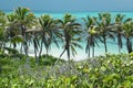 Palms of Cancun