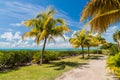 Palms at a coast of Caye Caulker island, Beli Royalty Free Stock Photo
