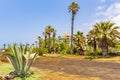 Palms coconut trees and resorts Canary Spanish island Tenerife Africa Royalty Free Stock Photo