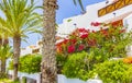 Palms coconut trees and resorts Canary Spanish island Tenerife Africa Royalty Free Stock Photo