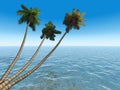 Palme sul esotico tropicale un appartamento 