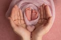 The palms of the mother are holding the foot of the newborn baby in pink blanket Royalty Free Stock Photo