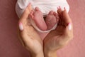 The palms of the father, the mother are holding the foot of the newborn baby in a pink blanket. Royalty Free Stock Photo