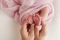 The palms of the father, the mother are holding the foot of the newborn baby in a pink blanket. Royalty Free Stock Photo