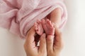 The palms of the father, the mother are holding the foot of the newborn baby in a pink blanket. Royalty Free Stock Photo