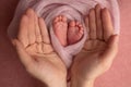 The palms of the mother are holding the foot of the newborn baby in pink blanket Royalty Free Stock Photo