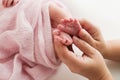 The palms of the father, the mother are holding the foot of the newborn baby in a pink blanket. Royalty Free Stock Photo