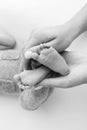 The palms of the father, the mother are holding the foot of the newborn baby on white background. Royalty Free Stock Photo