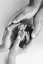 The palms of the father, the mother are holding the foot of the newborn baby on white background. Royalty Free Stock Photo