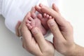 The palms of the father, the mother are holding the foot of the newborn baby on white background. Royalty Free Stock Photo