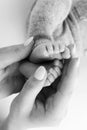 The palms of the father, the mother are holding the foot of the newborn baby on white background. Royalty Free Stock Photo