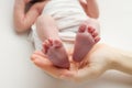 The palms of the father, the mother are holding the foot of the newborn baby in a white blanket. Royalty Free Stock Photo