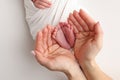 The palms of the father, the mother are holding the foot of the newborn baby in a white blanket. Royalty Free Stock Photo