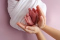 The palms of mother are holding the foot of the newborn baby in a white blanket, pink background. Royalty Free Stock Photo