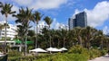 Palms in front of Miami& x27;s hotel& x27;s