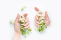 The palms of a girl in a bath with milk and flowers. Copy space, flat lay. The concept of purity, tenderness, freshness, youth.