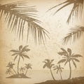 Palms grunge background Royalty Free Stock Photo