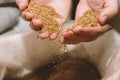 The palms of the hands are full of radish seeds. The palms are over the seed bag