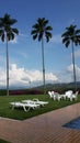 palms and the heaven Royalty Free Stock Photo