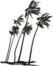 Palms during a hurricane Royalty Free Stock Photo