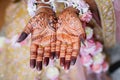 The palms of the Indian bride are decorated with henna designs and patterns in the traditional Indian style Royalty Free Stock Photo