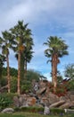 Palms at Jackalope Ranch in Indio