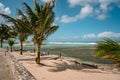 Palms in Jamaica decorated with traditional rastafari colors - red, green and gold. Beautiful fresh and strong Rasta, reggae