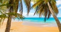 Palms in La Perle beach in Guadeloupe