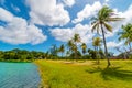 Palm and lake paradise in Snyder Park. Fort Lauderdale, Florida, USA Royalty Free Stock Photo
