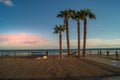 Palms on Loano Beach, Italian sea on winter sunny day