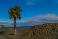 Palms on Loano Beach, Italian sea on winter sunny day