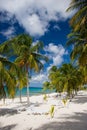 Palms and loungers on a white sand beach